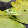 Savage Gear 3D Hollow Duckling Weedless S 7.5Cm 15G 02-Fruck Kiskacsa Csukára, Harcsára  (57611)