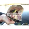 Savage Gear 3D Hollow Duckling Weedless S 7.5Cm 15G 02-Fruck Kiskacsa Csukára, Harcsára  (57611)