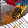 Ferplast Circus Fun Full Hamster felszerelt kisrágcsáló ketrec (57922799)