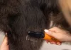 Wahl Dematter bontófésű (58446-101)