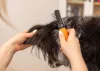 Wahl Dematter bontófésű (58446-101)