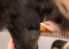 Wahl Dematter bontófésű (58446-101)