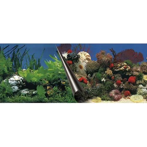 Ebi Photo Decor Stone + Coral 60 X 30Cm Akvárium Háttér Két Oldalas (59108833)