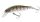 Shimano Lure Cardiff Stream Flat 50HS 50mm 4.5g 001 Yamame (59VZN350T00)