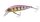 Shimano Lure Cardiff Stream Flat 50HS 50mm 4.5g 003 Pink Back (59VZN350T02)