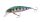 Shimano Lure Cardiff Stream Flat 50HS 50mm 4.5g 004 Blue Pink (59VZN350T03)