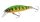 Shimano Lure Cardiff Stream Flat 50HS 50mm 4.5g 005 Green Gold (59VZN350T04)