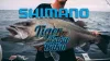 Shimano Engetsu Tiger Baku-Baku 62T Orange  80G  (59Vej408Qa1)