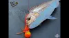 Shimano Engetsu Tiger Baku-Baku 62T Orange  80G  (59Vej408Qa1)