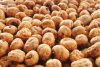 Tigrismogyoró Tigernuts (Chufa) Standard 12mm-ig  5kg New