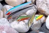 Rapala F03 Original Rap 3cm 2g wobbler - color BTR