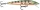 Rapala HJ08 Husky Jerk Rap 8cm 6g wobbler GP