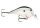 Rapala DTFAT03 Shallow Square Bill Crankbait Fat Rap® 6cm 14g wobbler PNGN (6145020)