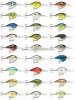 Rapala DT10 Dives-To Series - Crankbaits Ikes Custom 6cm 12g wobbler - HM