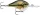 Rapala DT10 Dives-To Series - Crankbaits Ikes Custom 6cm 12g wobbler - LBL (DT10LBL)