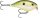 Rapala OGR05 OG Rocco Crankbait Rap 6cm 10g BCTS (6148035)