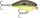 Rapala OGR05 OG Rocco Crankbait Rap 6cm 10g GGSD (6148043)