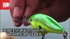 Rapala DT06 Dives-To Series 5cm 12g wobbler - CTB (DT06CTB)