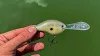 Rapala DT06 Dives-To Series 5cm 12g wobbler - RTBC (DT06RTBC)