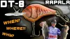 Rapala DT06 Dives-To Series 5cm 12g wobbler - RTBC (DT06RTBC)