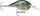 Rapala DT08 Dives-To Series 5cm 11g wobbler - BGL (DT08BGL)