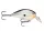 Rapala DT08 Dives-To Series 5cm 11g wobbler - PNGN (DT08PNGN)