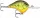 Rapala DT10 Dives-To Series - Crankbaits Ikes Custom 6cm 12g wobbler - CRTBC (DT10CRTBC)