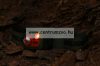 Fejlámpa  Prologic Lumiax Mkii Head Lamp fejlámpa 100-205 lumen (62057)