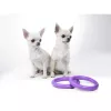 Puller Micro - Dog Toy Kutya Játék húzogató és dobó karika 12,5cm 2db (86780099) 6489EN