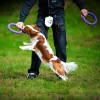 Puller Micro - Dog Toy Kutya Játék húzogató és dobó karika 12,5cm 2db (86780099) 6489EN
