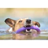Puller Micro - Dog Toy Kutya Játék húzogató és dobó karika 12,5cm 2db (86780099) 6489EN