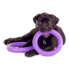 Puller Standard - Dog Toy Kutya Játék Húzogató és Dobó Karika 28x8,5cm 2db (86783099) 6490