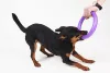 Puller Mini - Dog Toy Kutya Játék húzogató és dobó karika 18x4,7cm 2db (86781099) 6491
