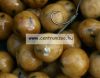 Sbs Eurobase Ready-Made Boilies 20mm 1kg- Tigernut (Tigrismogyoró)  (70026)