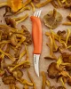 Marttiini Mushroom Knife Ruska Limited - gombász kés bőr tokkal 16,5cm (709015)