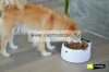 Ferplast Optima bowl mérlegelős kutya-macska tál (71084200)
