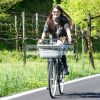 Ferplast Atlas Bike 20 Rapid kerékpáros kutya szállító kosár 47x35,5x34,5cm (73021299)