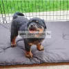 Ferplast Dog Fence Extencion 90cm bővítő panel (73325017)