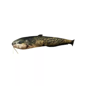 Halas Párna Harcsa Forma  115Cm (74016-150)