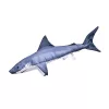 Halas Párna Shark Fehércápa Baby Forma  50cm (74016-420)
