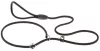Ferplast Sport GC8/160 8mm 160cm Póráz & Nyakörv erős kivitelben Fekete (75378017)