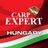 Carp Expert Rapid All-In Feeder kiegészítő felszerelés szett dobozzal (79020-790)