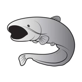   Catfish Silver Vignette - Öntapadó Harcsa Matrica (795010090)