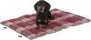 Kerbl Royal Pets otthoni és utazó matrac 80X60 cm  (80382)