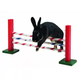  Kerbl Rabbit Agility Upright jump 70x5x35cm nyuszi játék (82859)