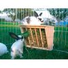 Kerbl Rabbit Farming széna etető szénarács nyulaknak 25x17x20cm (84405)