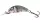 Salmo Hornet H3F 3,5cm 2,2g wobbler (QHT015) Holographic Grey Shiner HGS