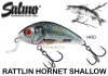 Salmo Rattlin Hornet Shallow - 3,5cm 3g wobbler  (84413-600) HRD