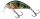 Salmo Rattlin Hornet Shallow - 3,5cm 3g wobbler  (84413-699) SNP
