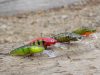 Salmo Bullhead BD4S 4,5cm 5g 1m wobbler HBD Hot Bullhead (84434-559)